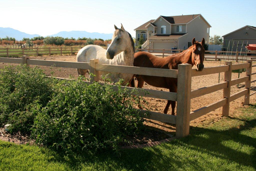 Freedom Fencing, LLC Image